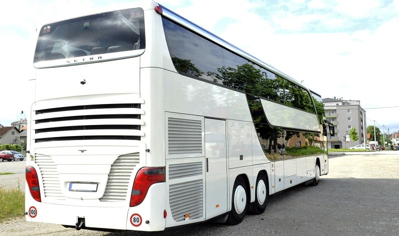 Bus charter in Bocșa