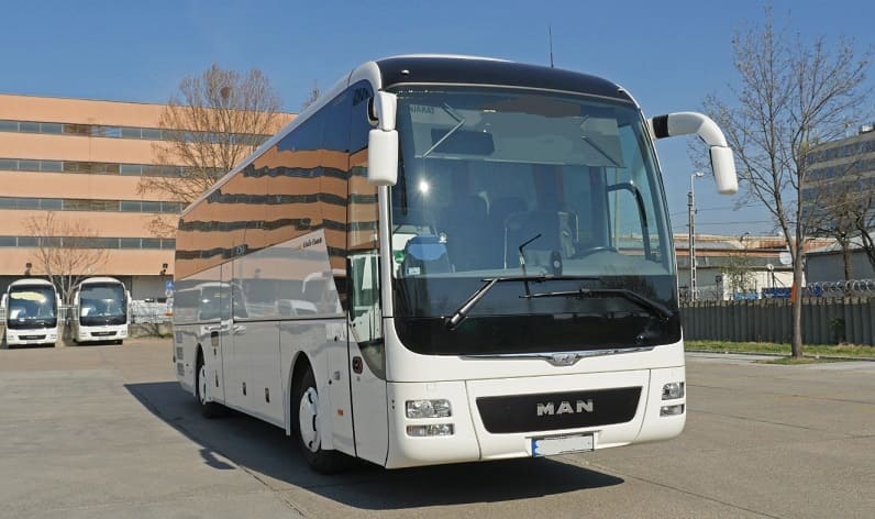 Buses operator in Surčin