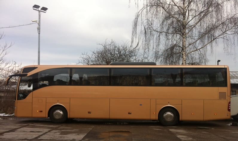 Buses order in Timișoara